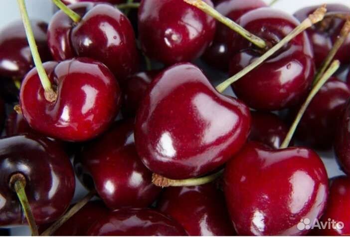 Вишня ягода свежая отборная