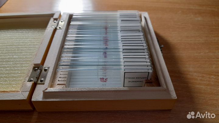 Набор препаратов для микроскопа 