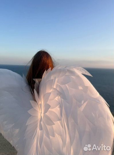 Крылья ангела в аренду