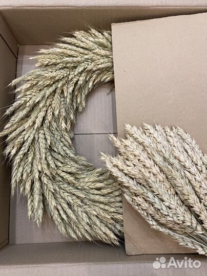 Венок из пшеницы