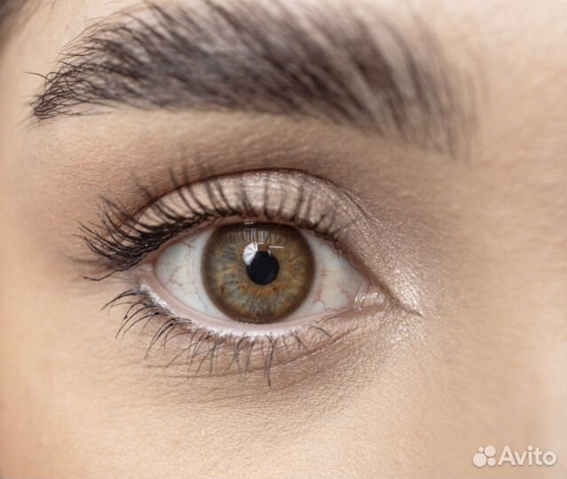 Цветные линзы DOX A 751 brown