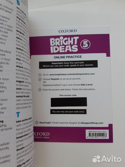 Bright Ideas Activity Book 5 with Online Practice