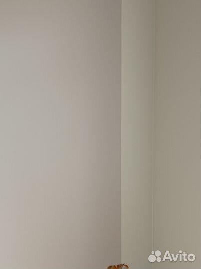 Штукатурка, шпаклевка, оклейка обоев