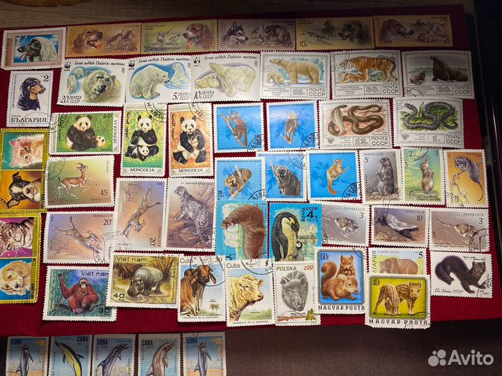 Почтовые марки редкие