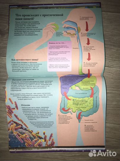 Новая детская энциклопедия