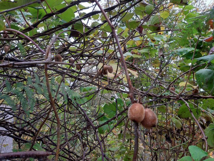 Дом 90 м² на участке 4 сот.