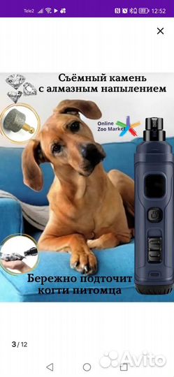 Когтеточка. Гриндер для собак и кошек