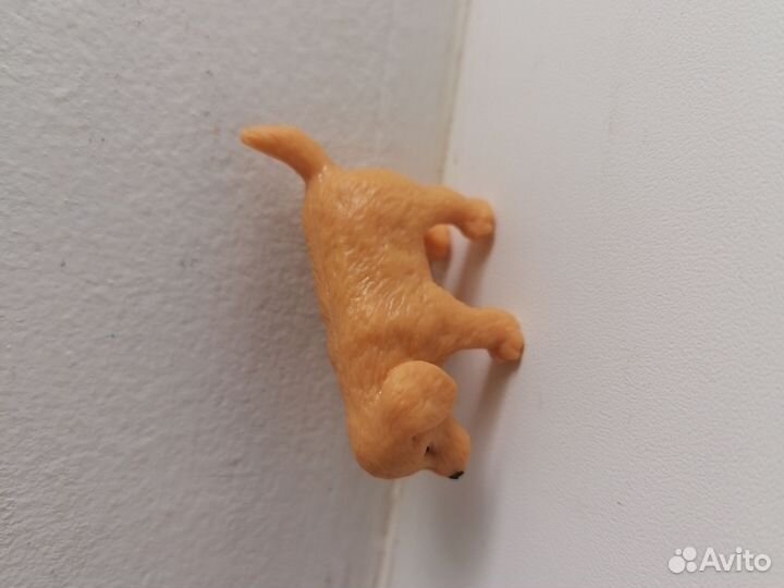 Питомец набор