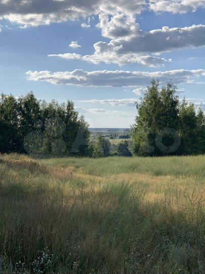 Участок 100 сот. (СНТ, ДНП)