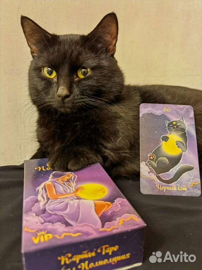 Карты Таро Оракул Полнолуния