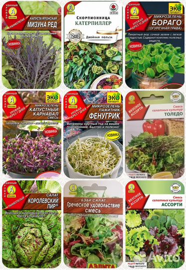 Семена зелень, салат