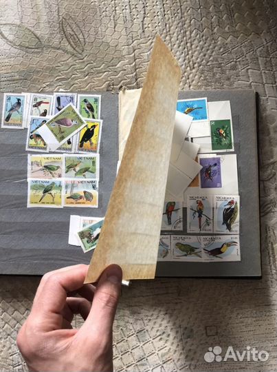Альбом с марками