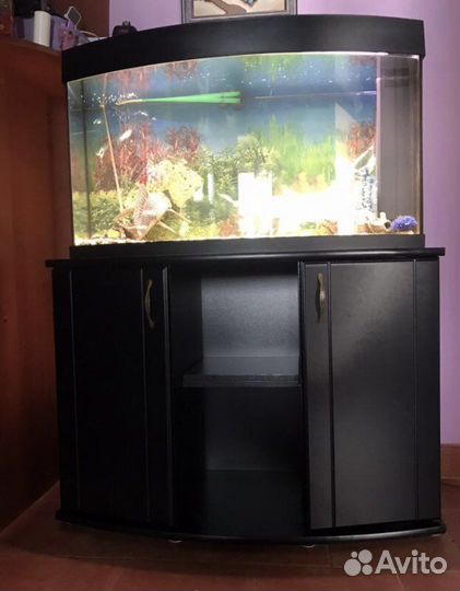 Панорамный Аквариум Juwel Vision 180 литров