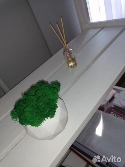 Кабинет аппаратной коррекции фигуры