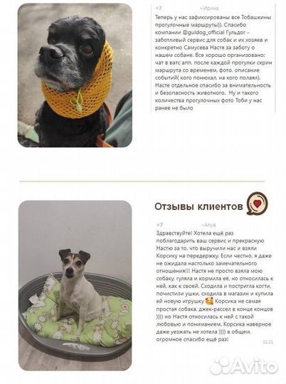 Передержка собак в домашних условиях