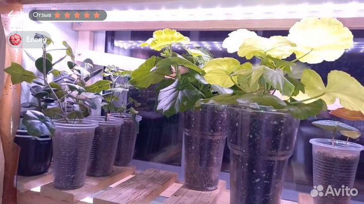 Светильник для растений