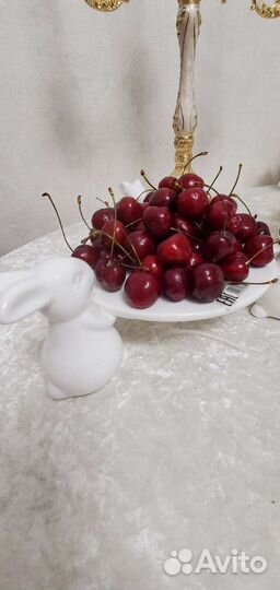 Блюдо сервировочное Кролик