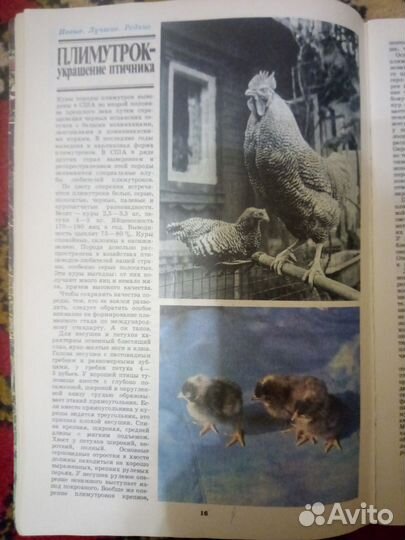 Журнал Приусадебное хозяйство №1 1991