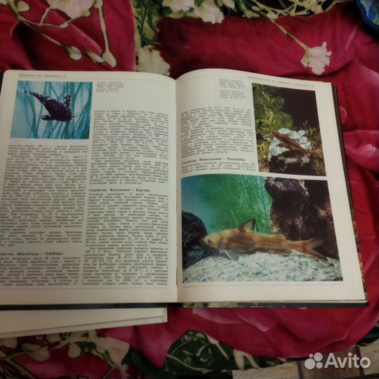 Книги про аквариум