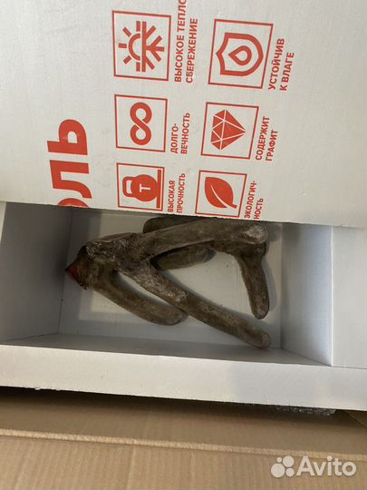 Рога консервированные, свежемороженые оптом