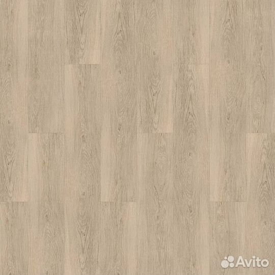 Rigid Tarkett Progressive House Michael