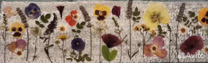 Набор сухоцветов для творчества