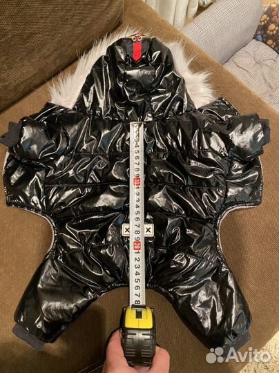 Одежда для собак мелких пород