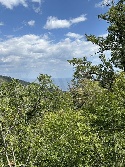 Участок 9 сот. (ИЖС)