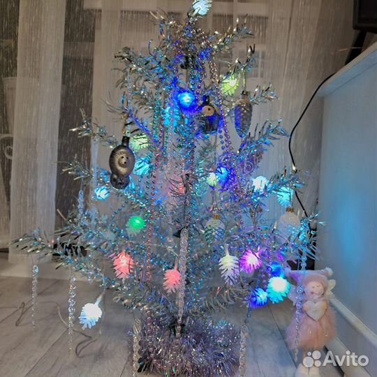 Елка серебристая СССР