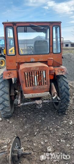 Кун на т 16