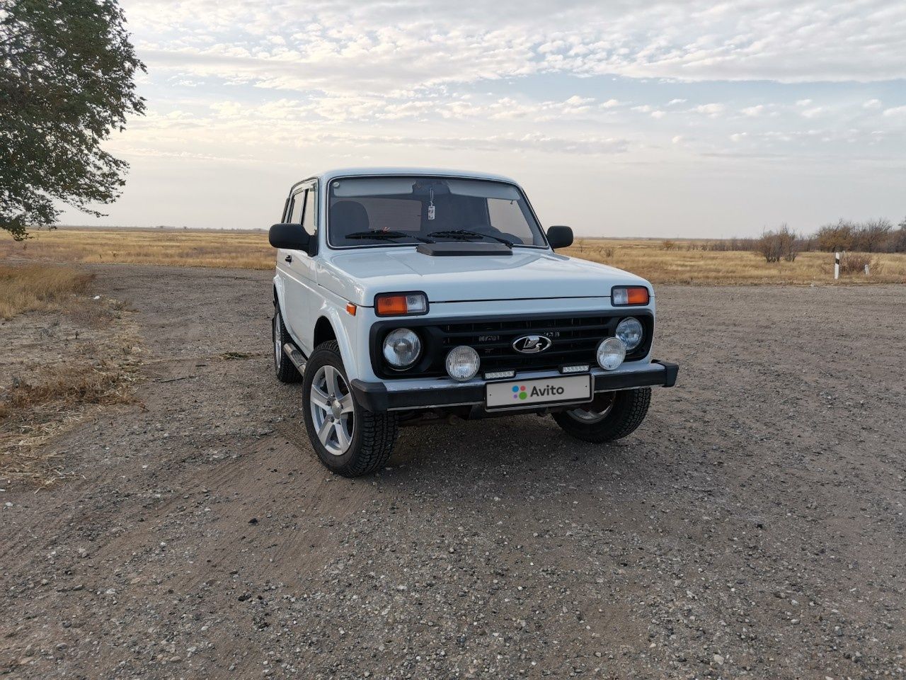 ВАЗ (LADA) 4x4 (Нива): фото владельца