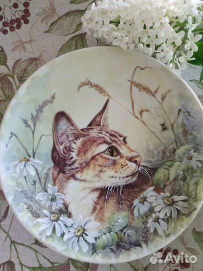 Тарелки Кузнецова И.Е, фарфор