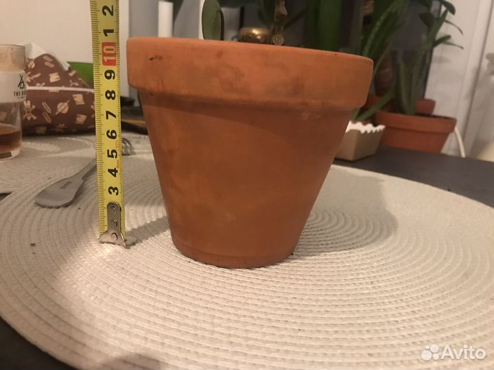 Глиняный горшок для цветов (доставка )