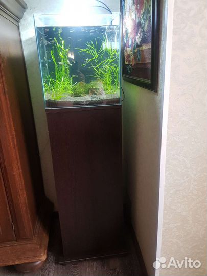 Аквариум с тумбой 50 литров