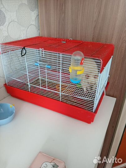 Клетка для крыс