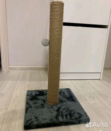 Когтеточка