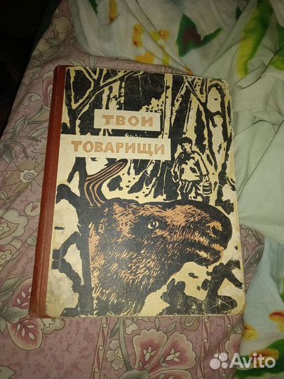 Твои товарищи книга