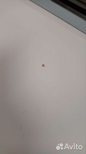 Стол для переговоров