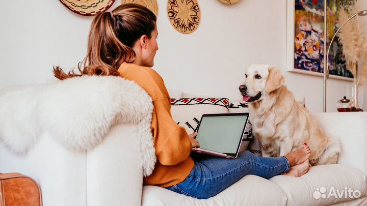 Гостиница для собак. Передержка. Дрессировка