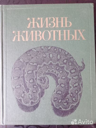 Жизнь животных