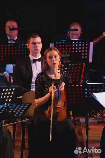 Скрипка на мероприятия