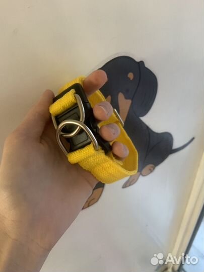 Ошейник для собак