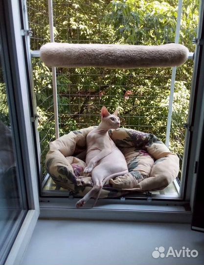 Балконы для выгула кошек, выгул для кота