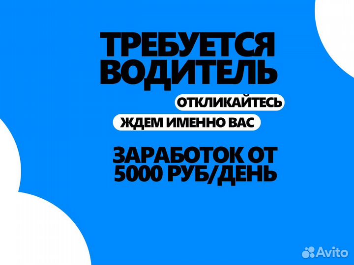 Требуется водитель без опыта
