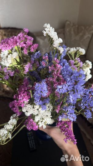 Цветы сухоцветы