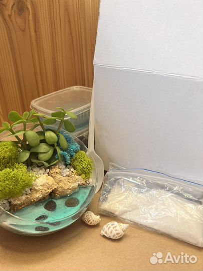 Набор для самостоятельного создания флорариума