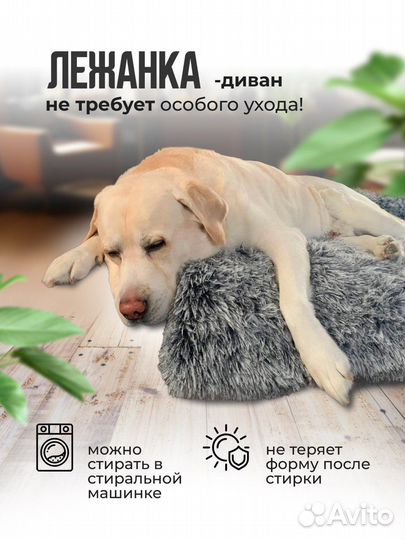 Лежанка для животных