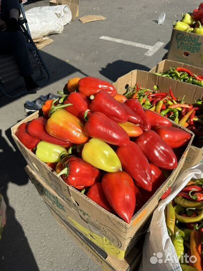 Перец сладкий