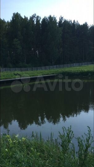 Участок 6,5 сот. (СНТ, ДНП)