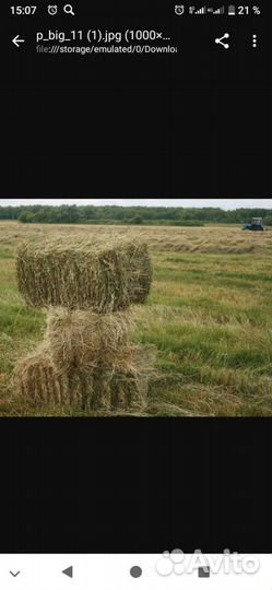 Тюковое сено